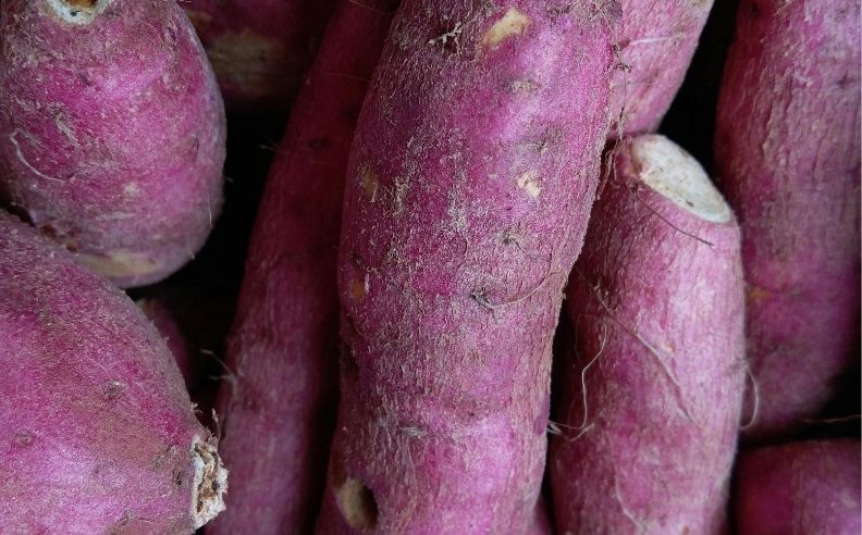 Zoom brut sur des patates douces