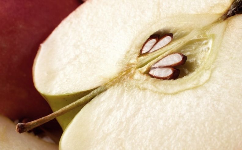 Zoom brut sur l'intérieur d'une pomme